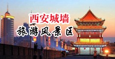紧窄女明星菊蕾中国陕西-西安城墙旅游风景区